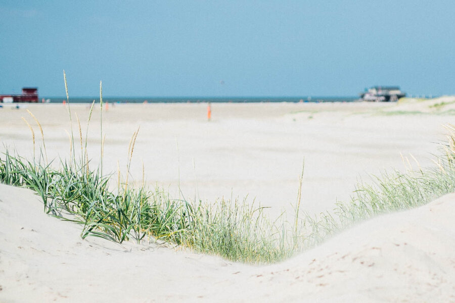 Amrum – die schönesten Urlaubsspots für Familien