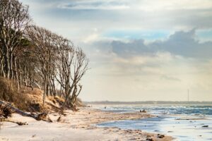 teaser_fischland-darss-zingst